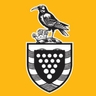 Cornwall Council logo