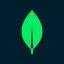 MongoDB logo