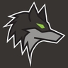 Dark Wolf Solutions logo