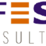 EFESO Management Consultants logo