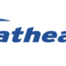 Fathead logo