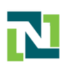Neusoft logo