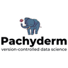 Pachyderm logo