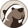 DBeaver logo