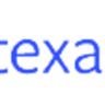 Texas State Auditor's Office logo