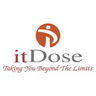 ITDOSE INFOSYSTEMS Pvt. Ltd. logo