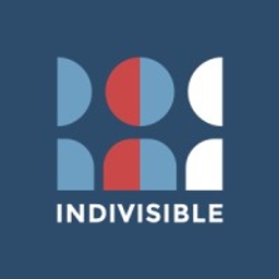 Indivisible Project