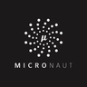 Micronaut Framework logo