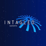 intagleo system logo