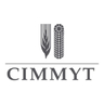 International Maize and Wheat Improvement Center (CIMMYT) logo