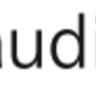 AudioEye logo