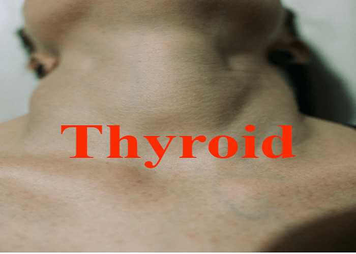 what is thyroid