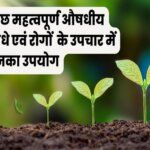 Some important medicinal plants and their use in the treatment of diseases in hindi