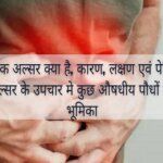 What is peptic ulcer, causes, symptoms and role of some medicinal plants in the treatment of peptic ulcer in hindi