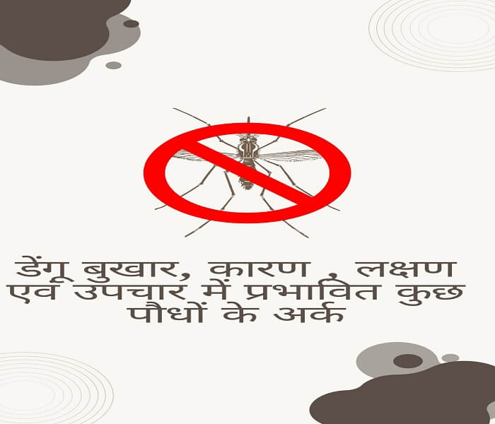 Extracts of some plants affected in dengue fever, causes, symptoms and treatment in hindi