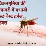 Some of the best herbal drinks effective in chikungunya recovery in hindi