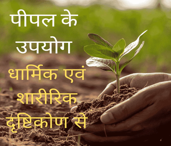 Uses of peepal - from religious and physical point of view in hindi