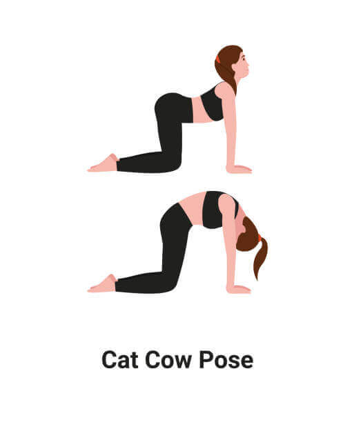 Cat-Cow stretch in hindi