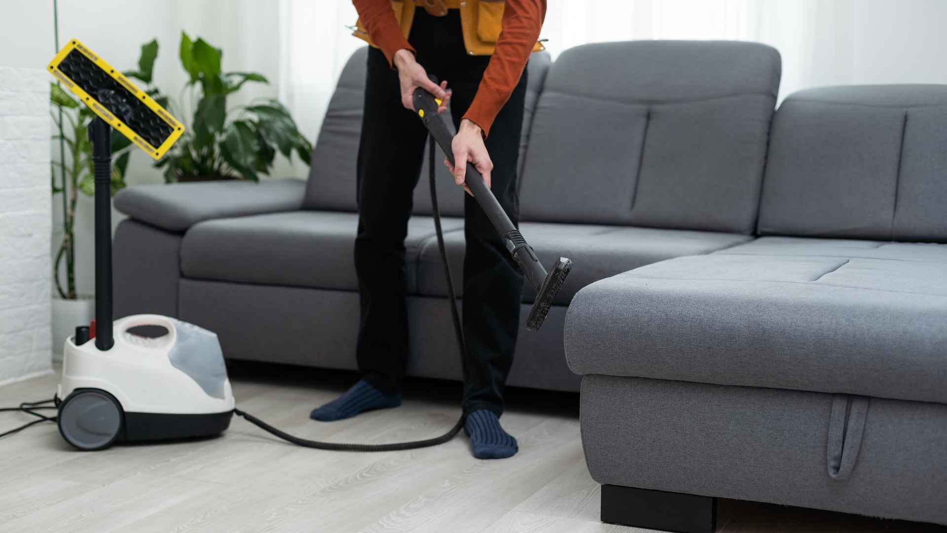 FAQS about Bathroom Mold Removal Services in San Tan Valley, AZ