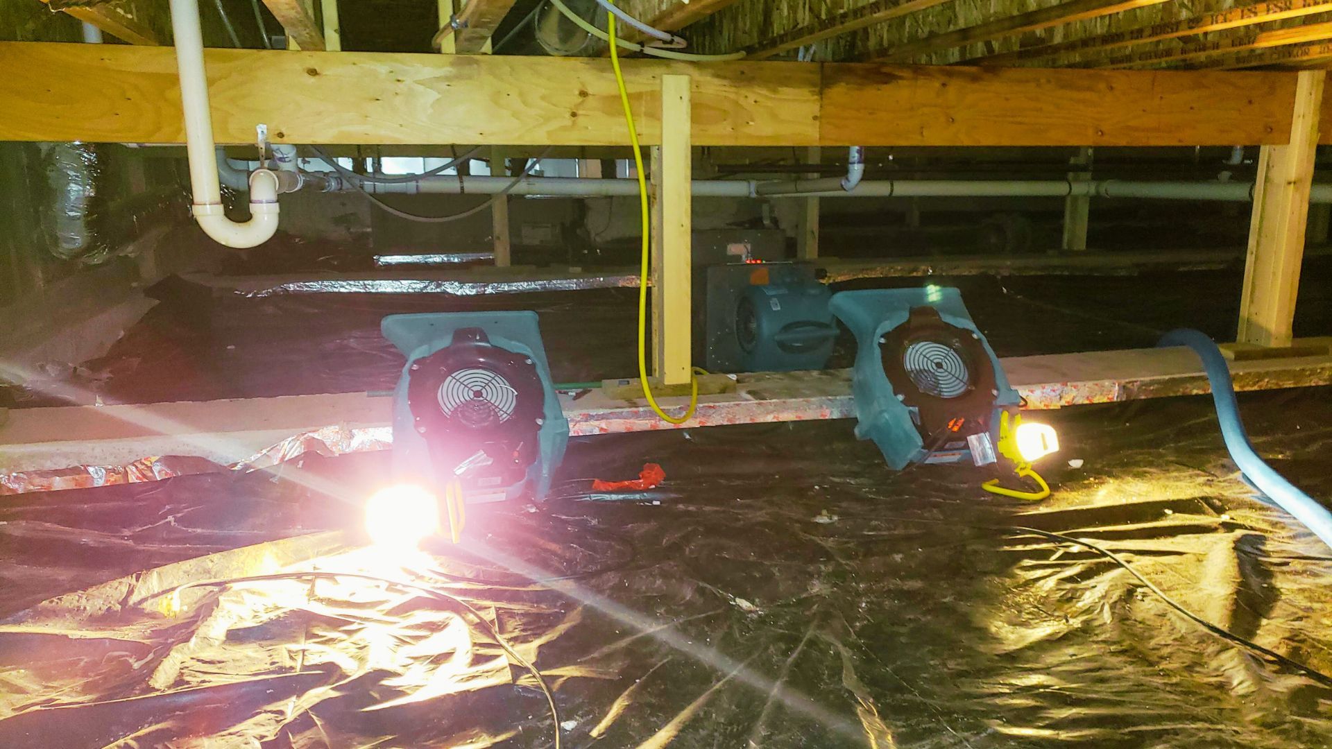 Mold Removal in Avon By The Sea, NJ