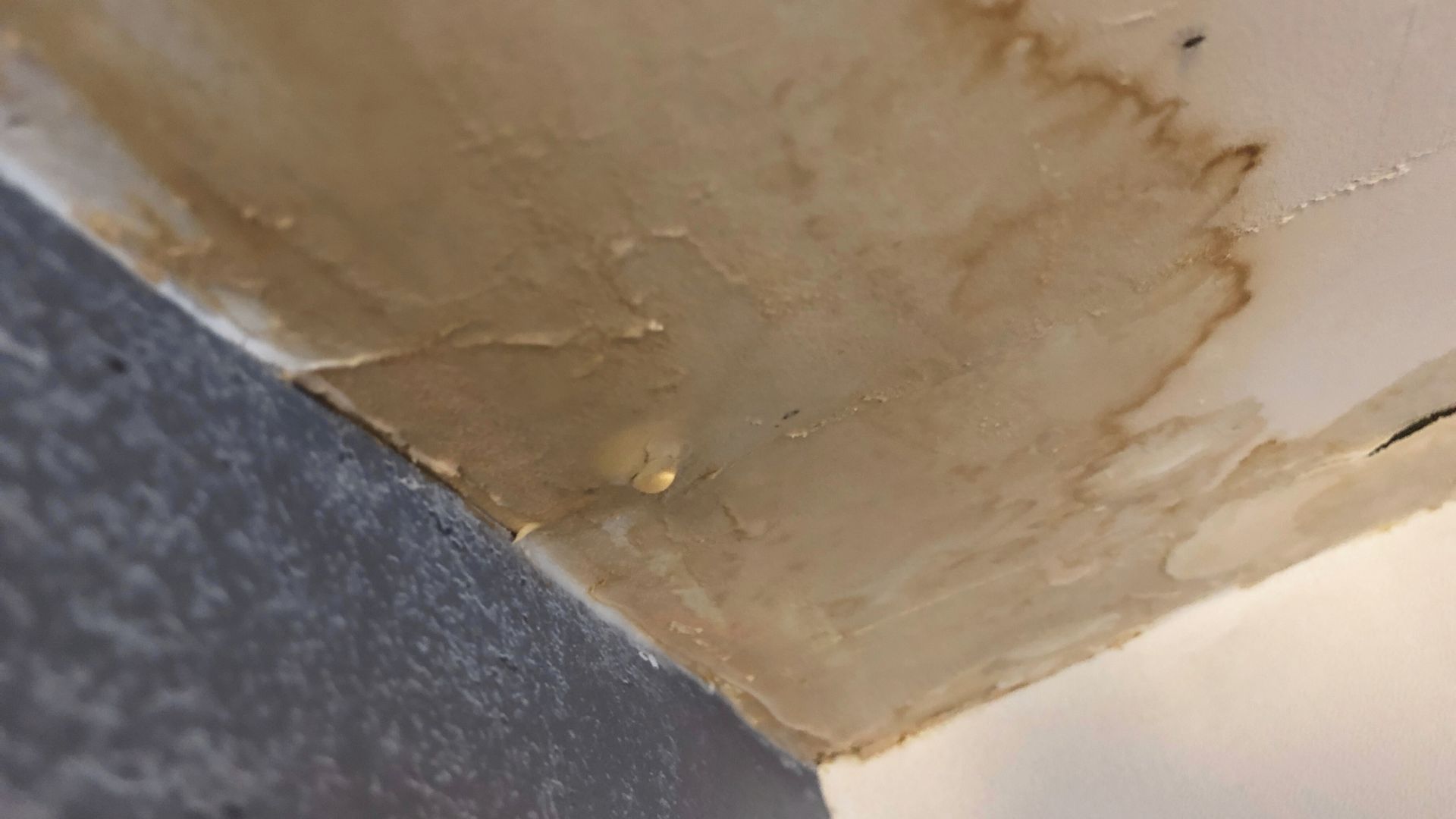 Emergency Water Removal in Avon By The Sea, NJ