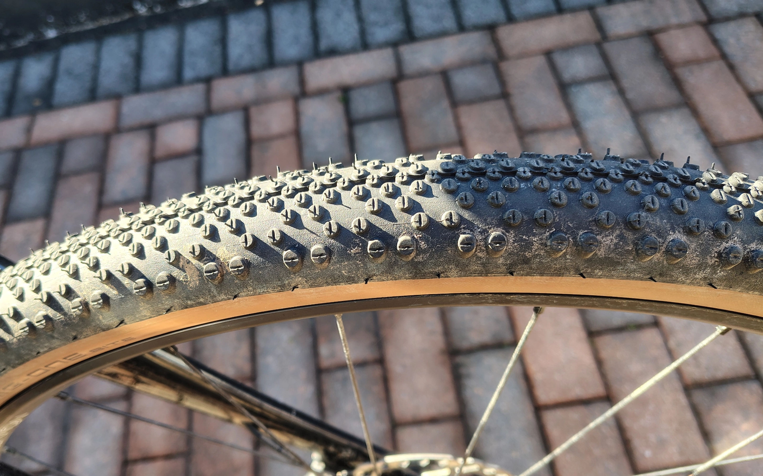 Schwalbe G-ONE Bite Review