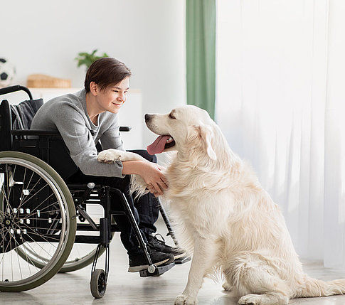 Animal-Assisted Therapy