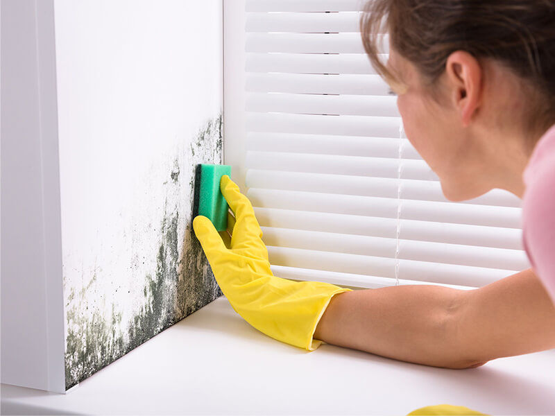 Chà vùng bị nấm mốc bằng thuốc tẩy pha loãng