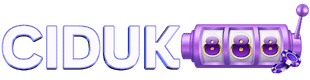 Logo CIDUK888