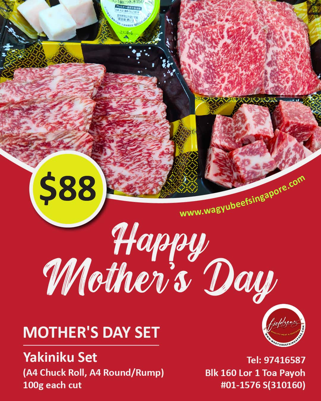 mother's day promo 3-02-01-01-01 (1)