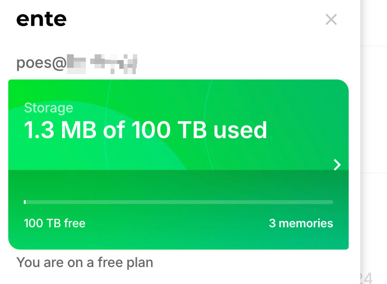 ente user no limit storage