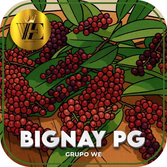 Plataforma Parceira 1