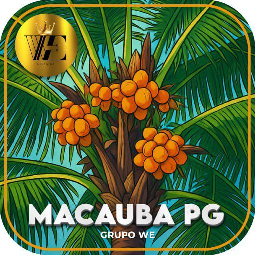 Plataforma Parceira 1