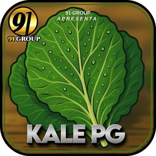 Plataforma Parceira 2