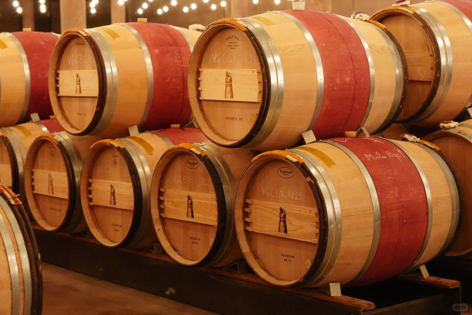 [經典大拉圖酒瓶展示]