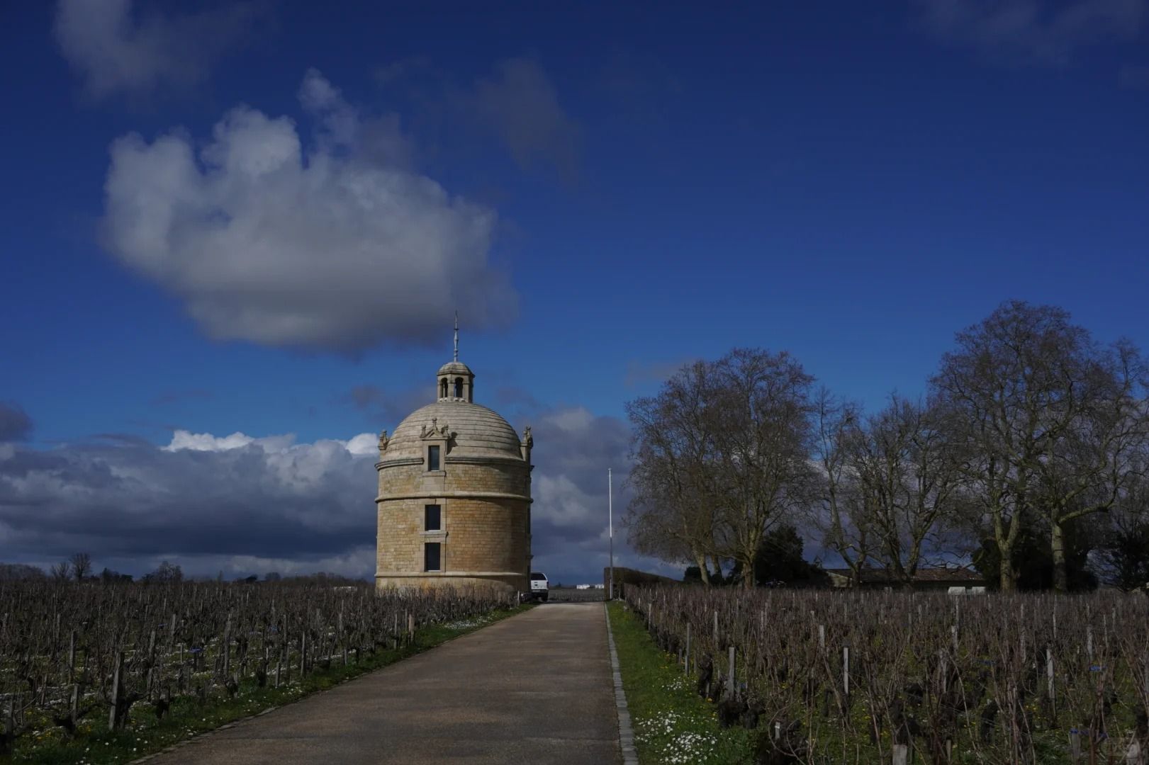 [拉圖酒莊及經典紅酒背景]