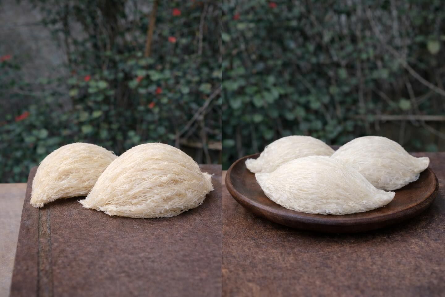 靈科商行專家檢查燕窩盞形與乾度