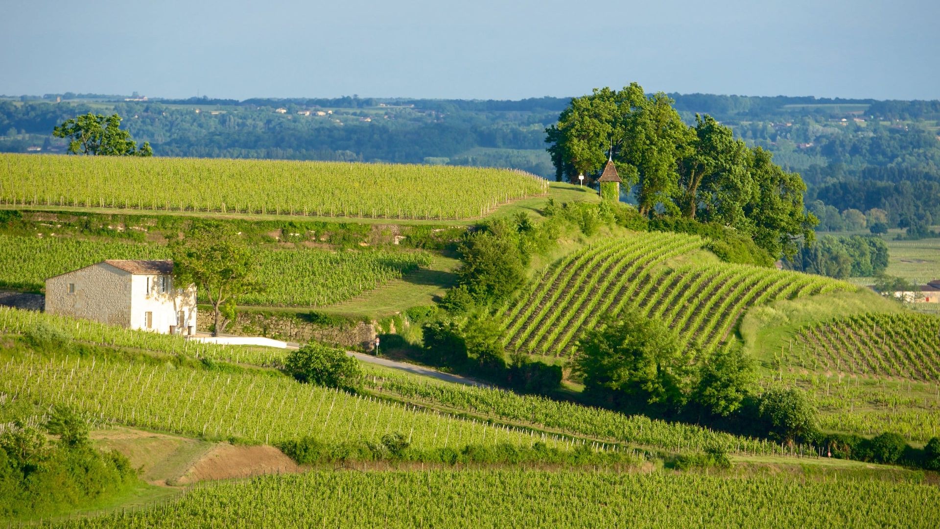 波爾多五大酒莊投資指南