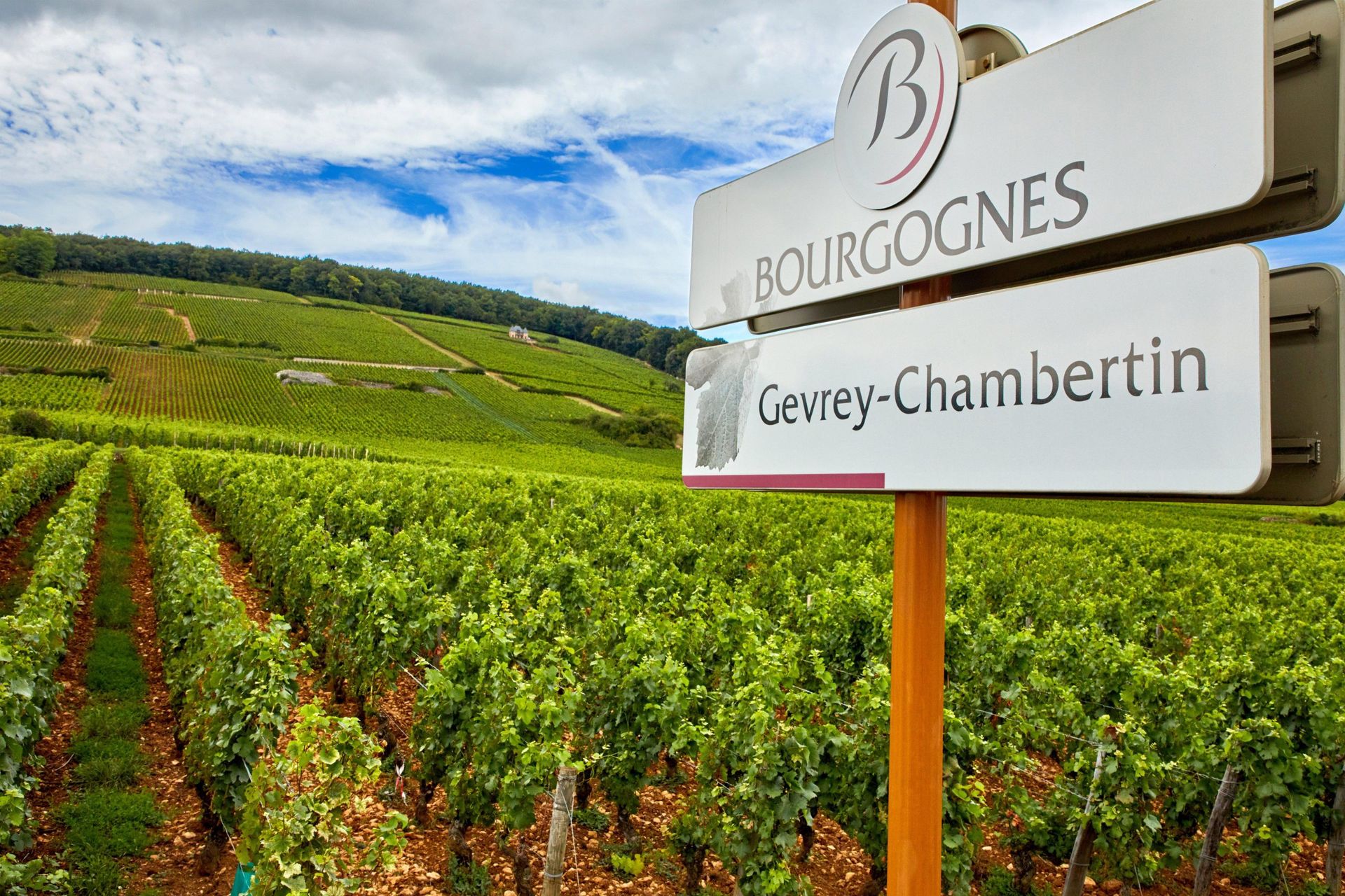 Gevrey-Chambertin 葡萄園地圖與歷史遺蹟