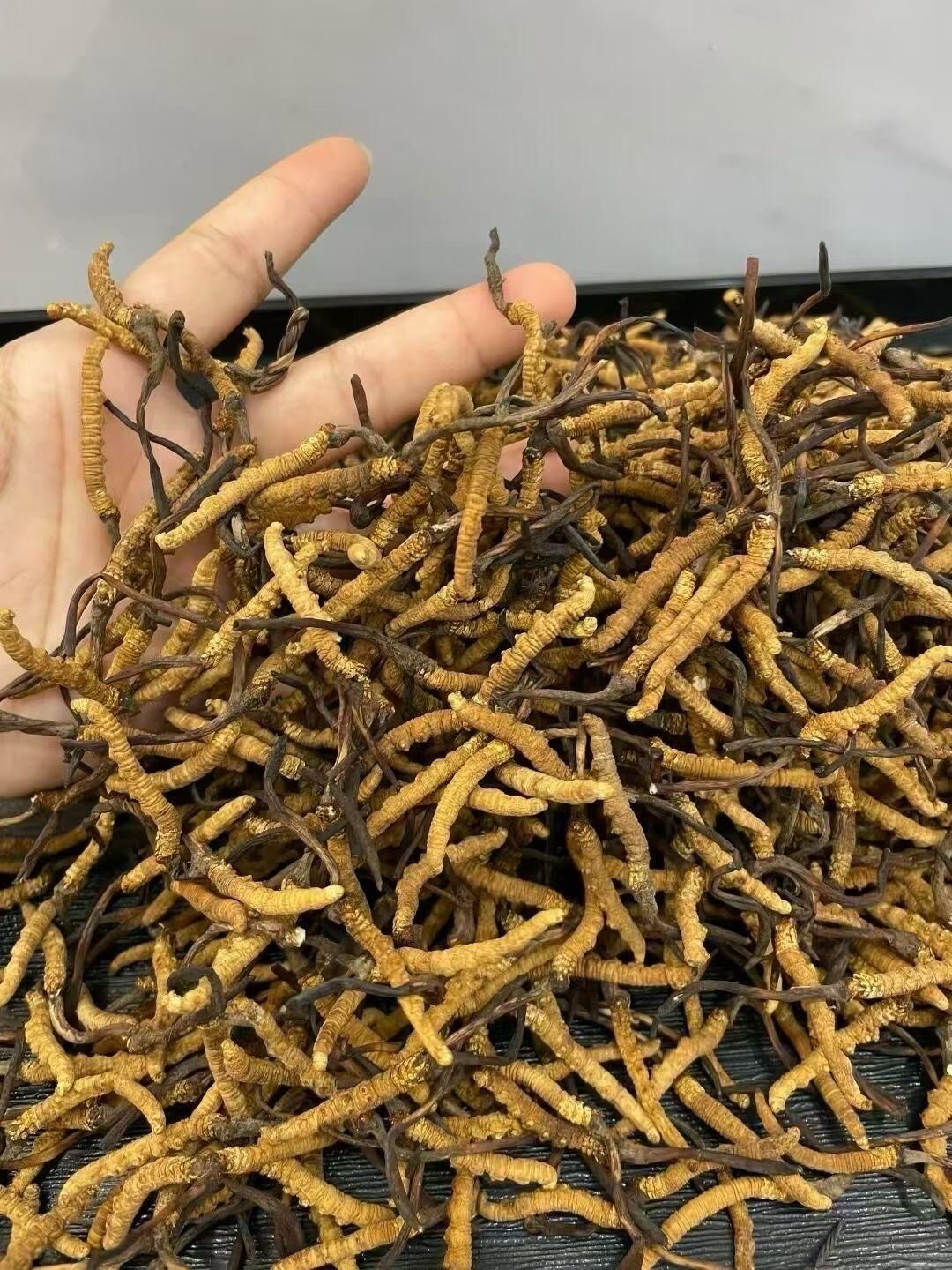 回收西藏昌都/林芝等的示意圖