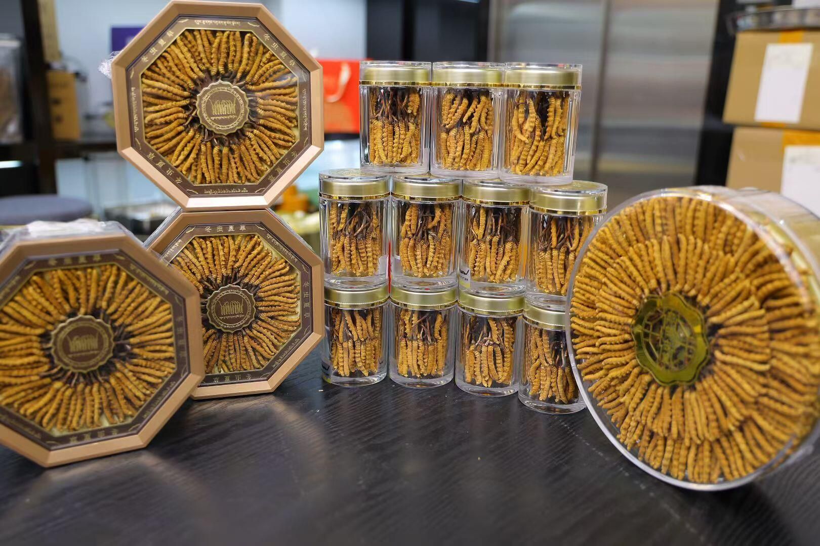 展示冬蟲夏草（蟲草）的高質感背景