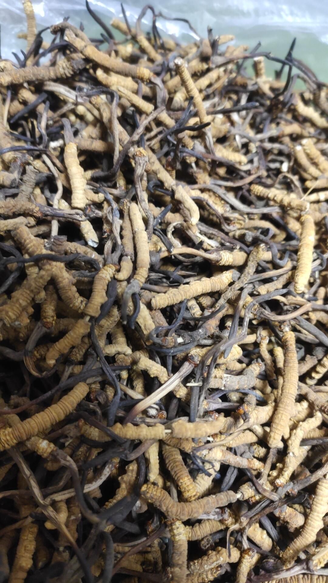 回收散草/斷草/禮盒裝的示意圖