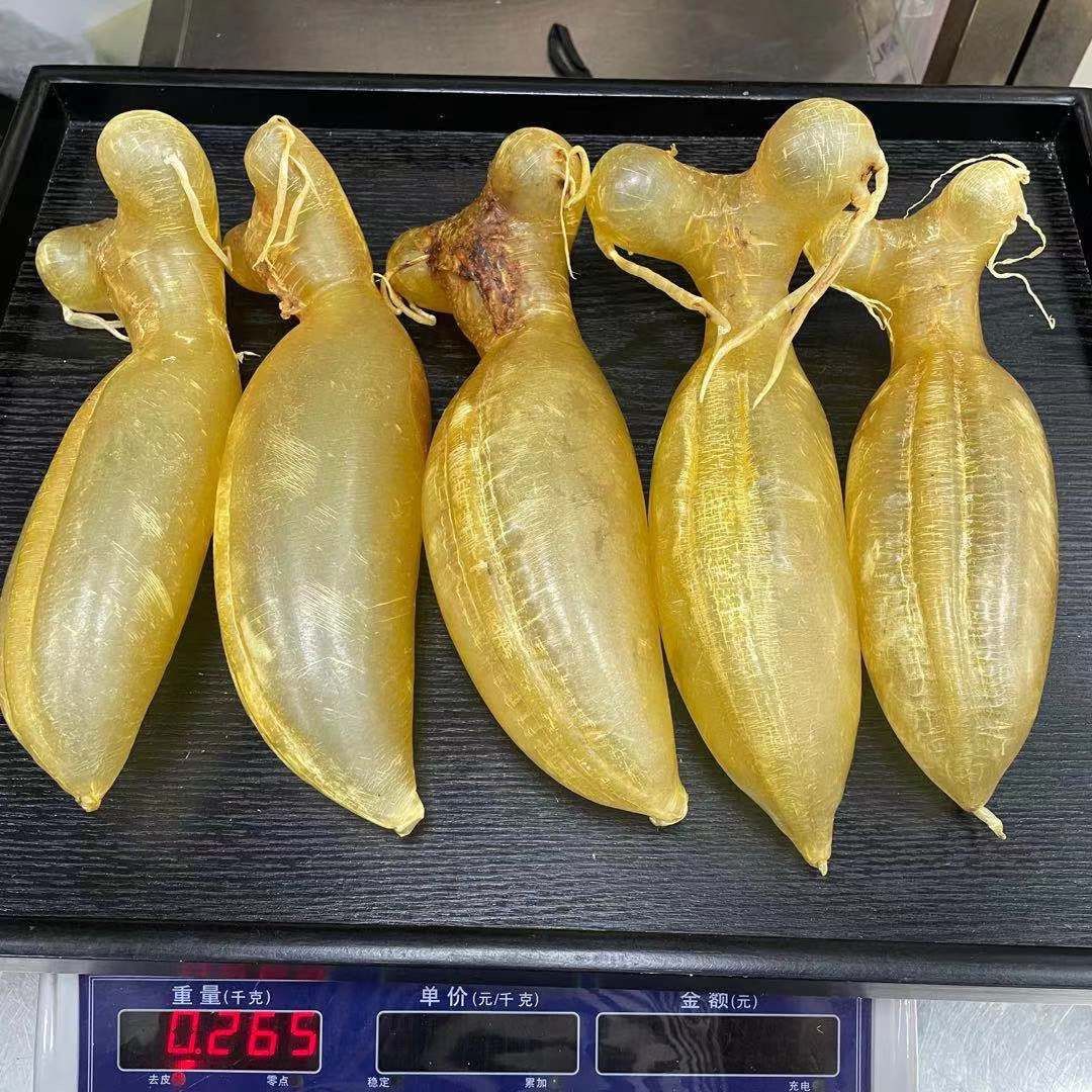具有獨特網狀紋路的蜘蛛膠