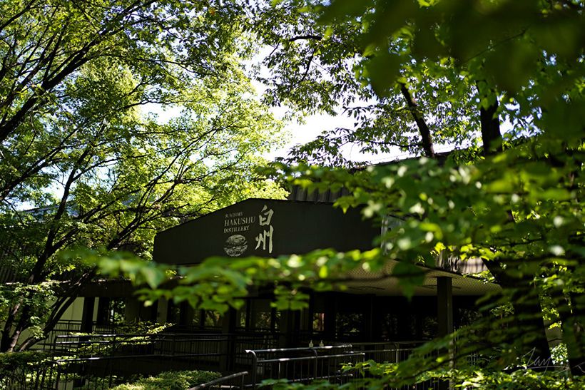 位於森林深處的白州蒸餾所
