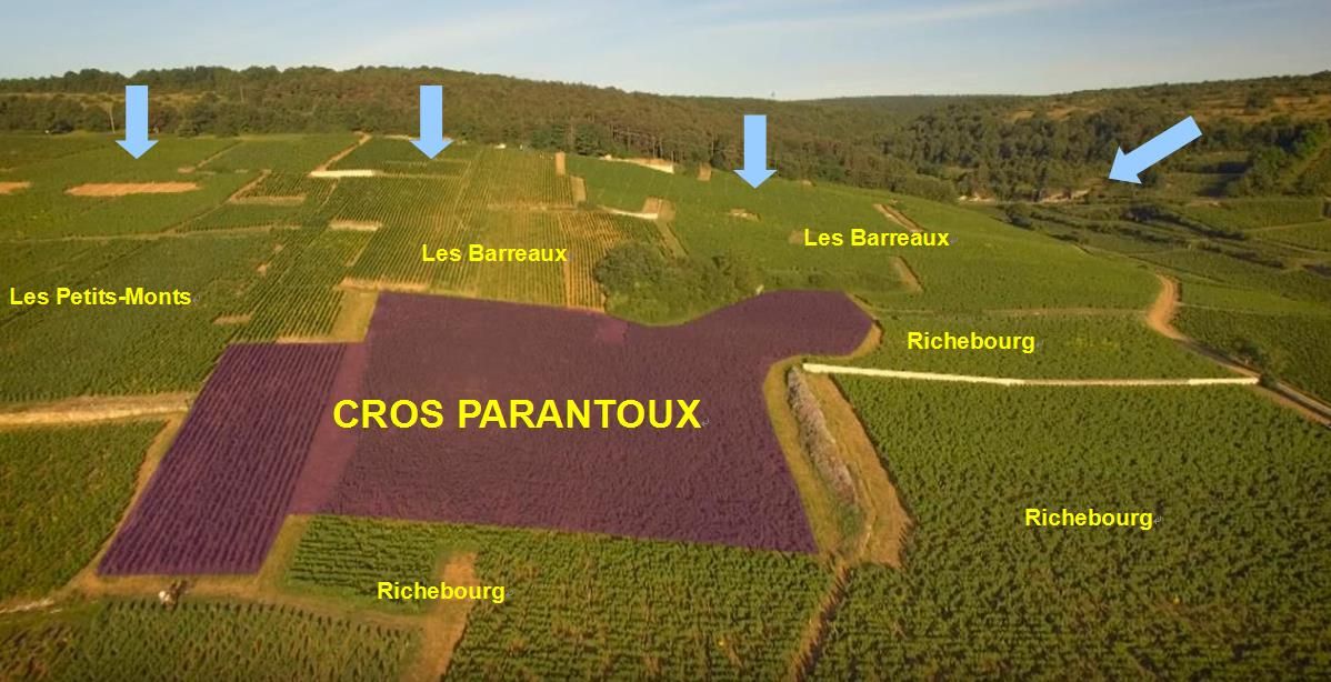 Henri Jayer 的 Cros Parantoux 葡萄園
