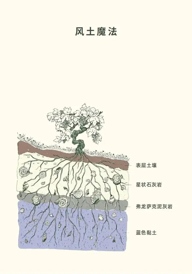 波美侯高原獨特的藍色黏土土壤結構