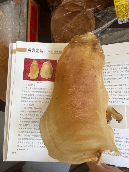 台山赤嘴公肚特寫，清晰可見的法令紋氣喉