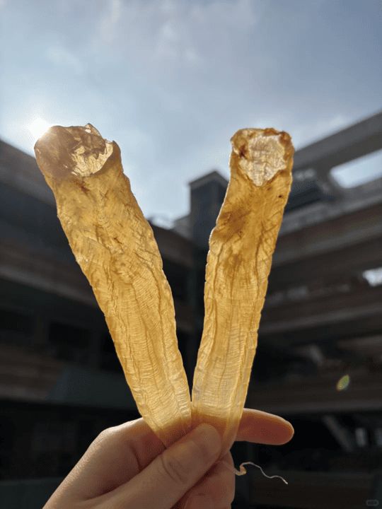 白花膠法令紋與氣孔細節特徵