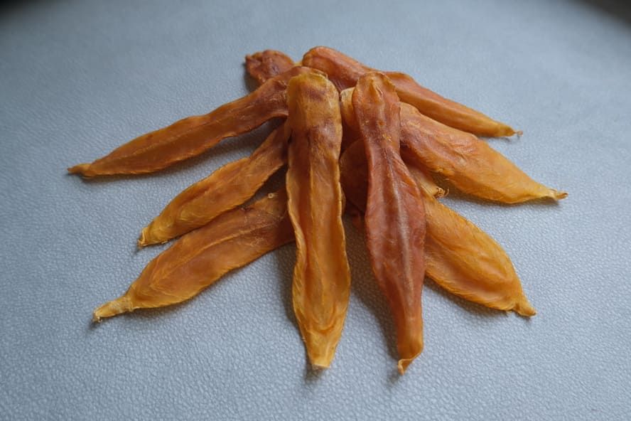 白花膠鑑別與回收特徵