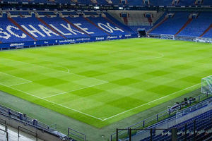 Schalke 04